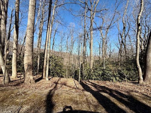TBD Crooked White Oak Trail, Hillsville, VA, 24343 | Card Image