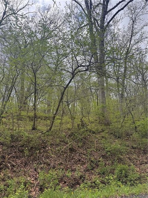 Lot 47-49 Park Lane, Oak Grove, MO, 64075 | Card Image