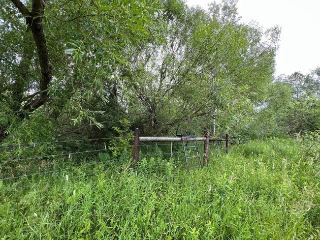 Fencing | Image 36