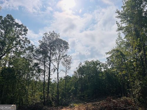 0 Vernontown Rd, WEST BLOCTON, AL, 35184 | Card Image