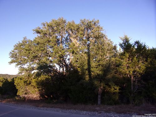 361/395 Mountain Wood, Canyon Lake, TX, 78133 | Card Image