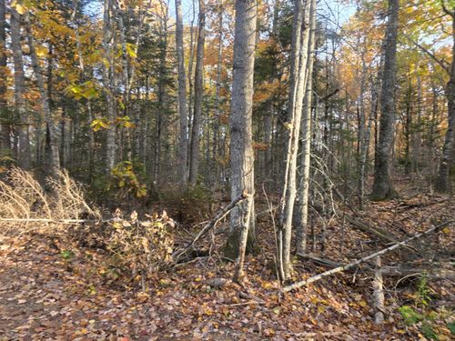Lot 2 W Cider Mill Ln, Swanville, ME, 04915-4370 | Card Image