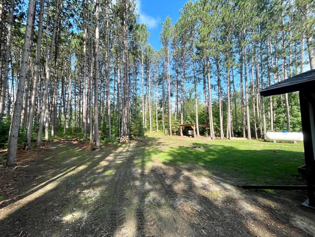 Yard.jpeg | Image 22