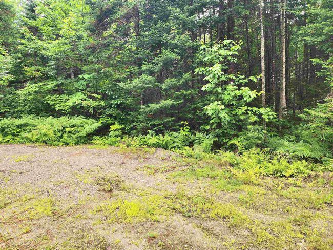 213 Bell Hill Rd, House other with 2 bedrooms, 1 bathrooms and null parking in Stark NH | Image 17
