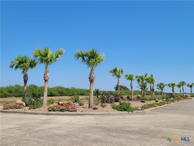 Lot 693 Arbor Crest, Home with 0 bedrooms, 0 bathrooms and null parking in Palacios TX | Image 3