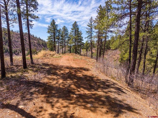 77 Culebra Cir, Home with 0 bedrooms, 0 bathrooms and null parking in Durango CO | Image 25