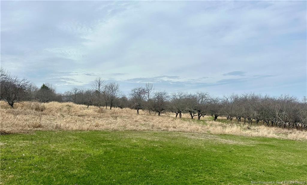 Land in Keswick Ridge 4