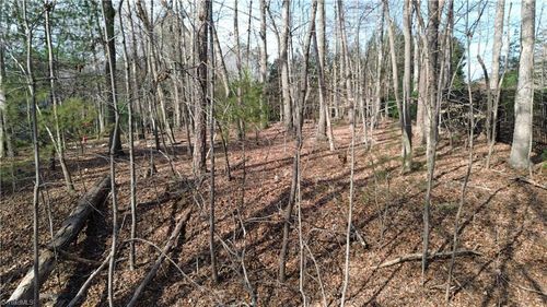 183 Forest Hills Ln, Elkin, NC, 28621-8307 | Card Image