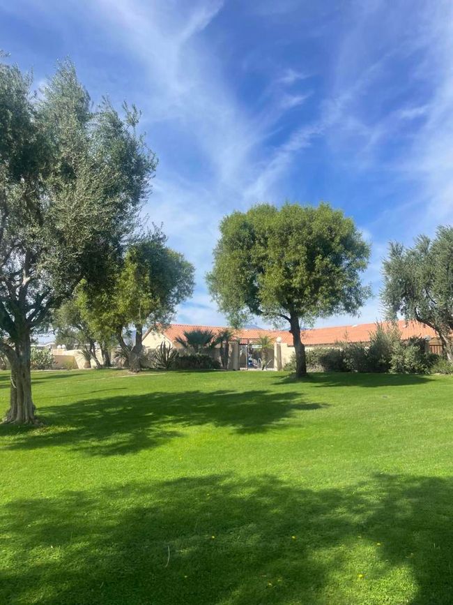 Community Area | Image 26