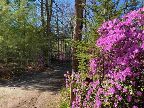 14 Car Mar Ln, Salem, NH, 03079-2267 | Card Image