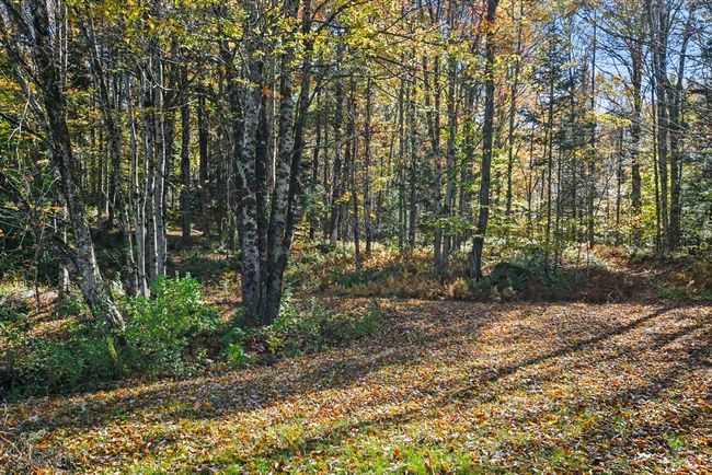 74 Old Main Rd, House other with 3 bedrooms, 2 bathrooms and 4 parking in Savoy MA | Image 6