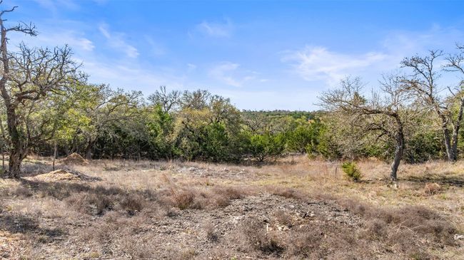 View of local wilderness | Image 13