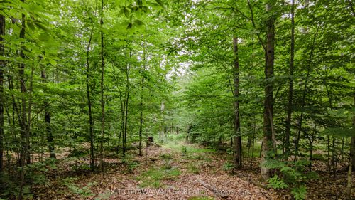 0 Peplinskie Rd, Combermere, ON, K0J1L0 | Card Image