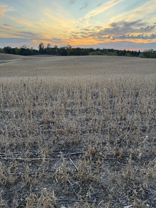 TBD Placid Dr, Dent, MN, 56528 | Card Image