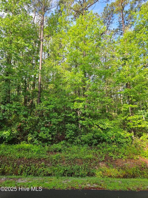 24-14 Myrtlewood Dr, Carolina Shores, NC, 28467-2310 | Card Image