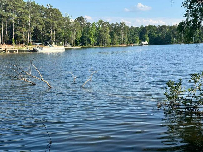 348 Amalfi Dr, House other with 3 bedrooms, 3 bathrooms and null parking in Chapin SC | Image 6