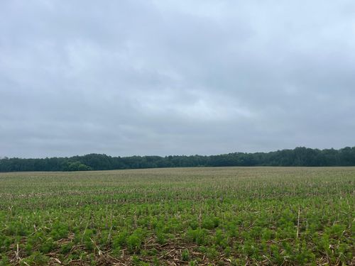 TBD (Lot 2) Hemingway Ave, North Branch, MN, 55056 | Card Image