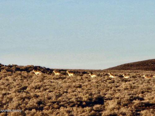 0 Bird Ranch Road, Crescent Valley, NV, 89821 | Card Image