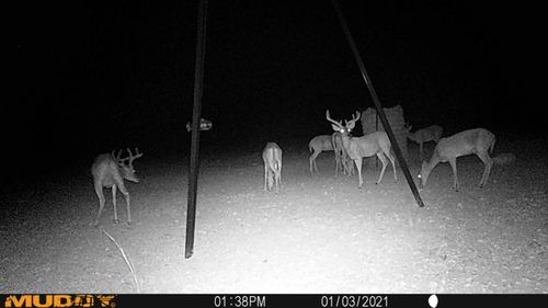Tx Hwy 349 Tx-349, Sanderson, TX, 79848 | Card Image