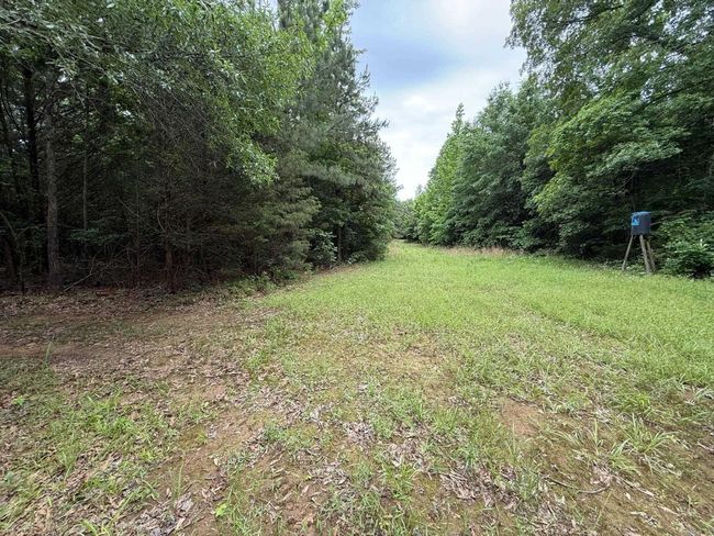 256 Rambo Loop, Home with 0 bedrooms, 0 bathrooms and null parking in Searcy AR | Image 11