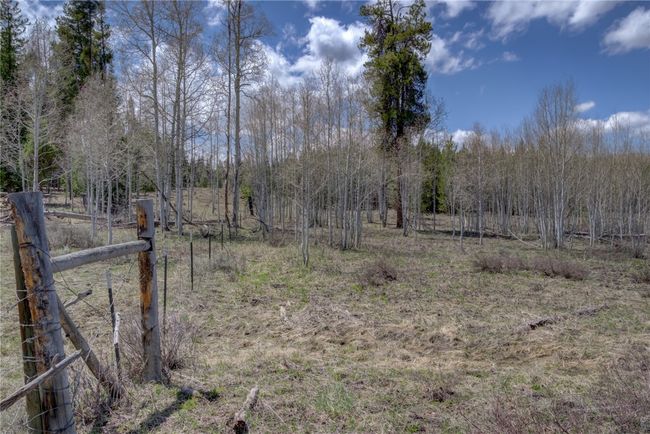 View of local wilderness | Image 6