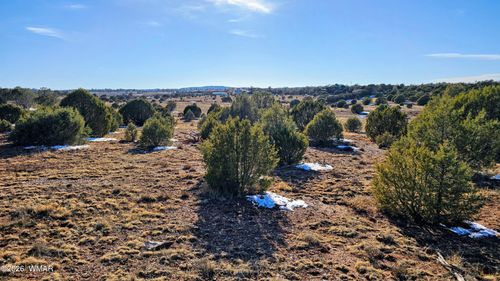 4964 Morning Glory St, Clay Springs, AZ, 85923-4124 | Card Image