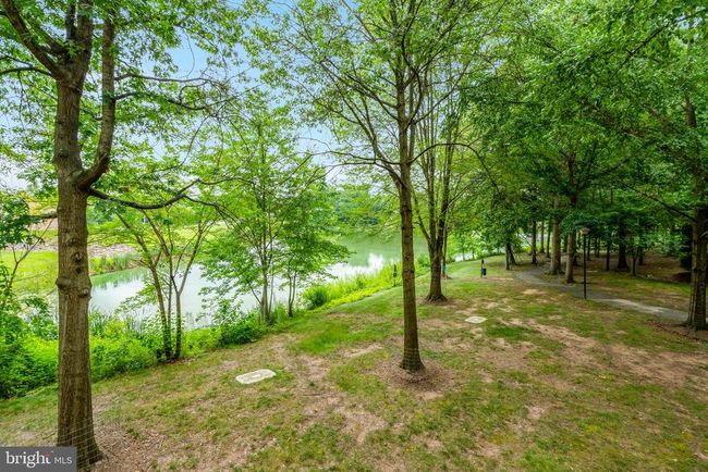 APT-14 - 1712 Lake Shore Crest Dr, Condo with 1 bedrooms, 1 bathrooms and null parking in Reston VA | Image 18