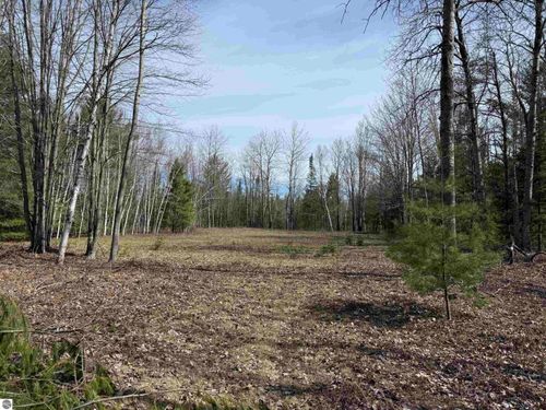 0 Michaud Road, Mikado, MI, 48745 | Card Image