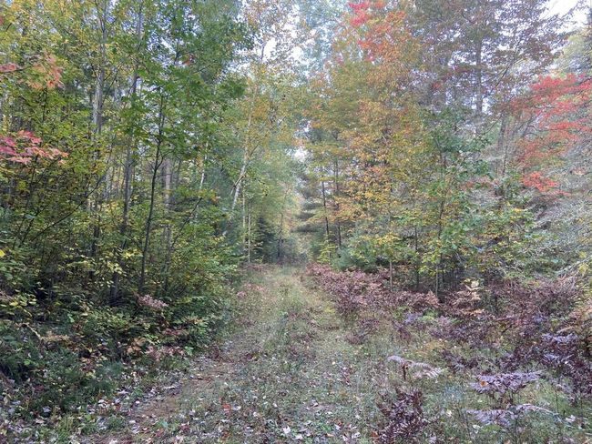 Lt0 Barker Road, Home with 0 bedrooms, 0 bathrooms and null parking in Amberg WI | Image 7