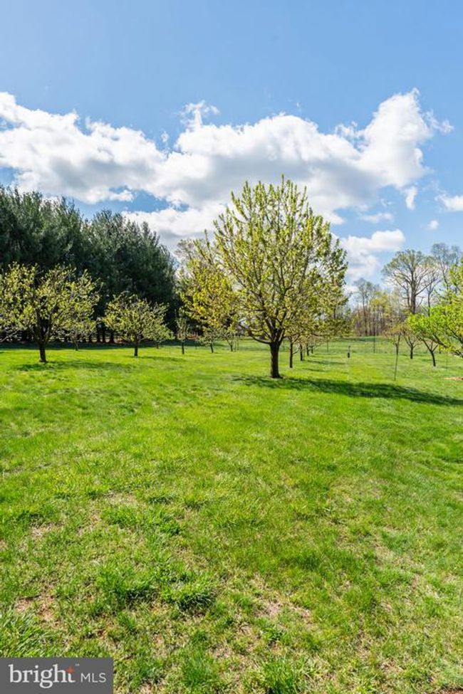 10027 John S Mosby Hwy, Home with 7 bedrooms, 8 bathrooms and null parking in Upperville VA | Image 67