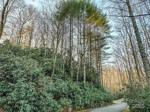 D17 Caroline Ln, Pisgah Forest, NC, 28768 | Card Image