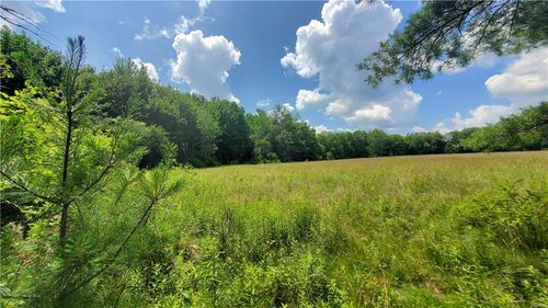 223 Horseshoe Lake Rd, Kauneonga Lake, NY, 12749 | Card Image