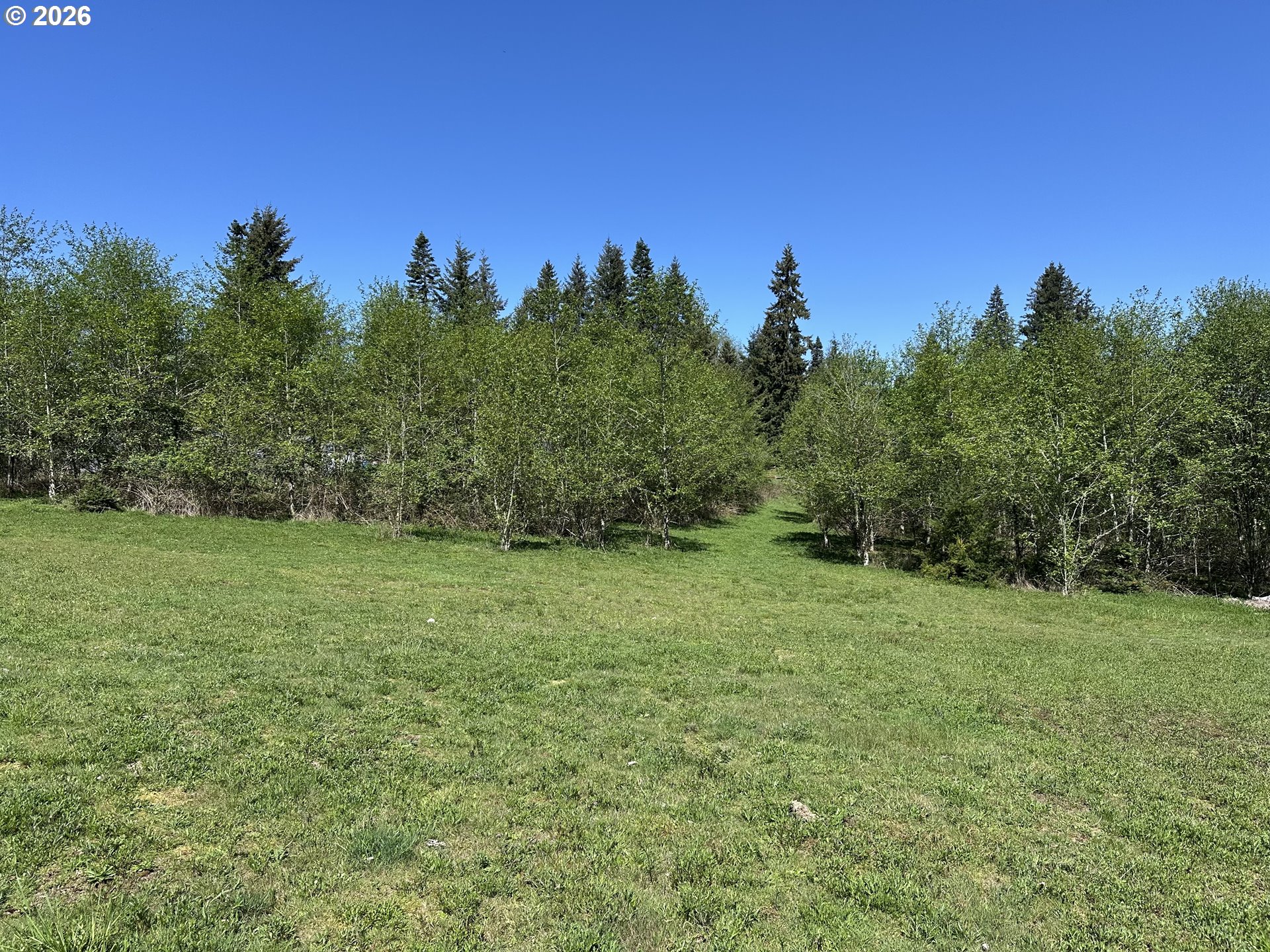 Land in CastleRock 4