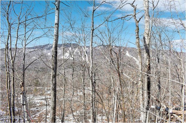 48 Durkin Rd, Home with 0 bedrooms, 0 bathrooms and null parking in North Creek NY | Image 18