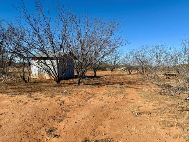 00 W Hwy 158, Home with 0 bedrooms, 0 bathrooms and null parking in Bronte TX | Image 6
