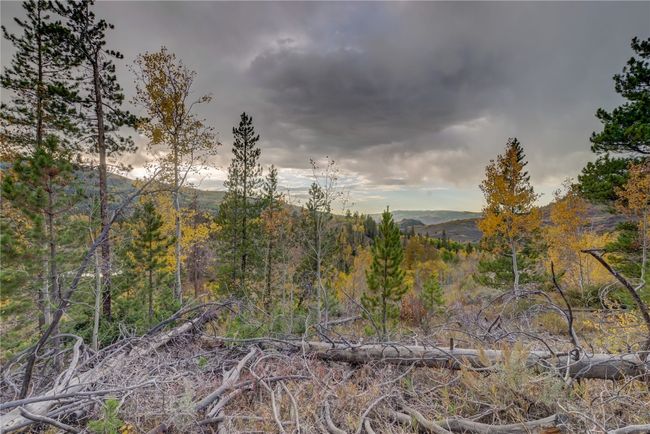 View of landscape with a forest view and a mountain view | Image 11
