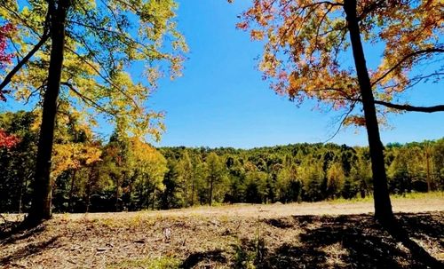 Tract 4 State Park Road, Burkesville, KY, 42717 | Card Image