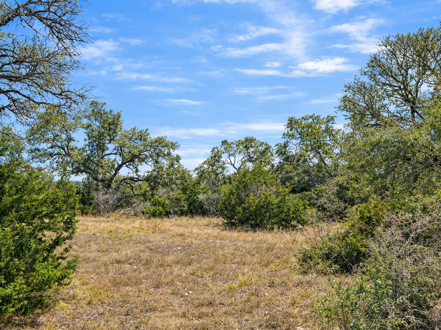 Land in Spring Branch 2