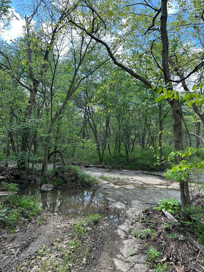 Natural Bridge 3 | Image 39