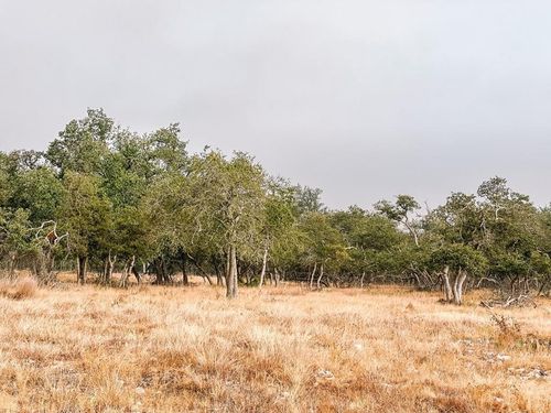 35-Lot 35 Nott Branch Rd, Harper, TX, 78631-2062 | Card Image