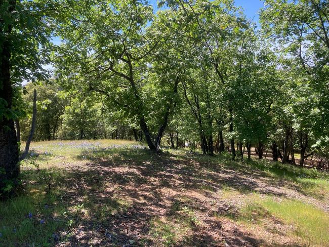 16688 Sonshine Ln, Home with 0 bedrooms, 0 bathrooms and null parking in Sutter Creek CA | Image 48