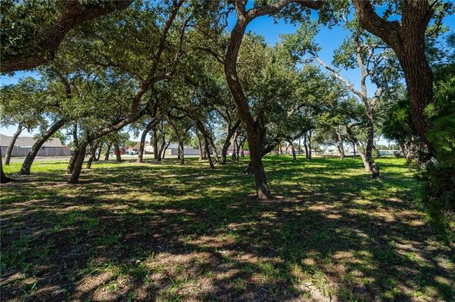 0 State Highway 361, Home with 0 bedrooms, 0 bathrooms and null parking in Ingleside TX | Image 4