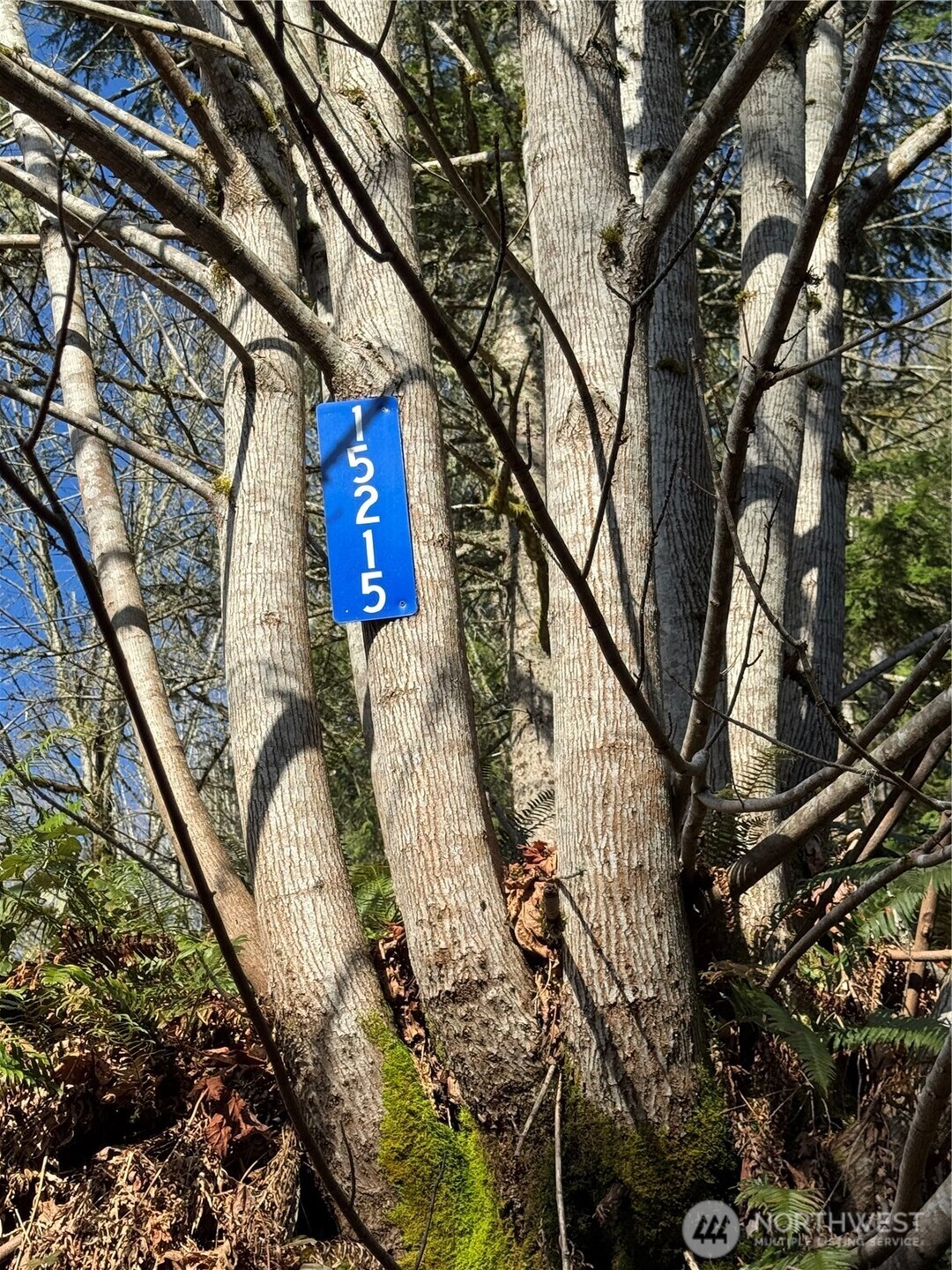 Land in Arlington 4