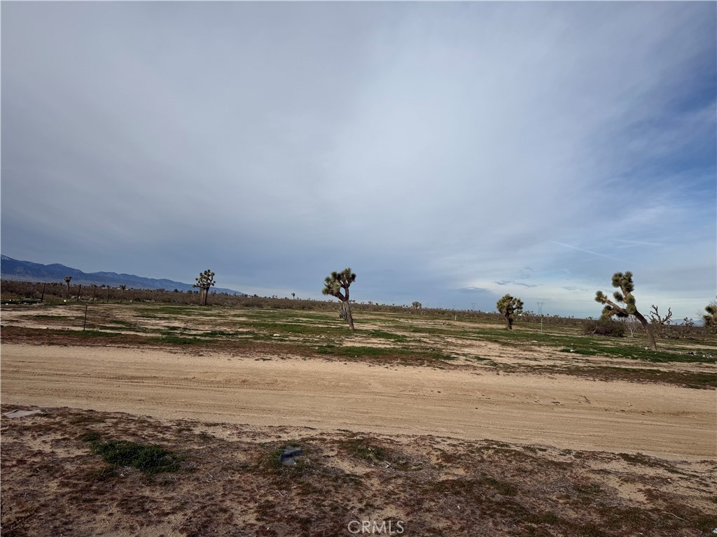 Land in Phelan
