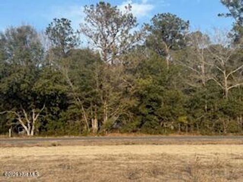 Tbd Rough Horn Rd, Evergreen, NC, 28438 | Card Image