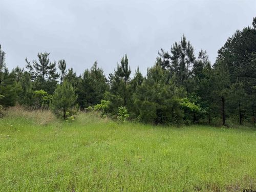 3369 County Road 2472, Naples, TX, 75568 | Card Image