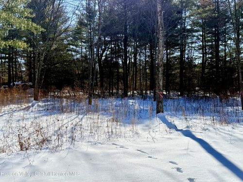 17 Tappanzee Ct, Athens, NY, 12015-3202 | Card Image