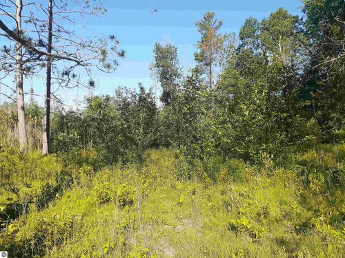 7631 F 41, Oscoda, MI, 48750-9699 | Card Image