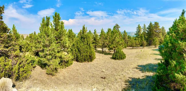 69 Colter Trl, Home with 0 bedrooms, 0 bathrooms and null parking in Columbus MT | Image 9