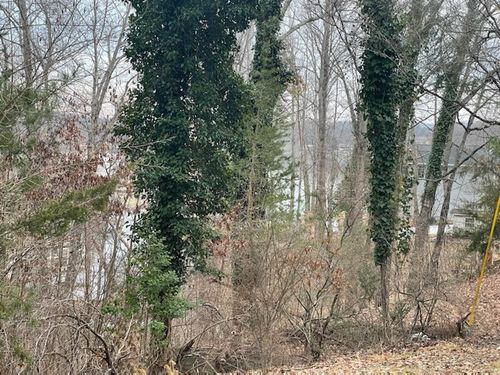 Lot 50 Overlook Cir, Moneta, VA, 24121-2471 | Card Image